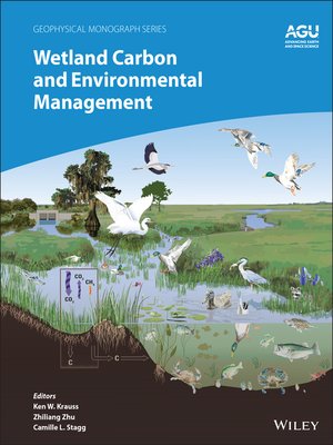 cover image of Wetland Carbon and Environmental Management